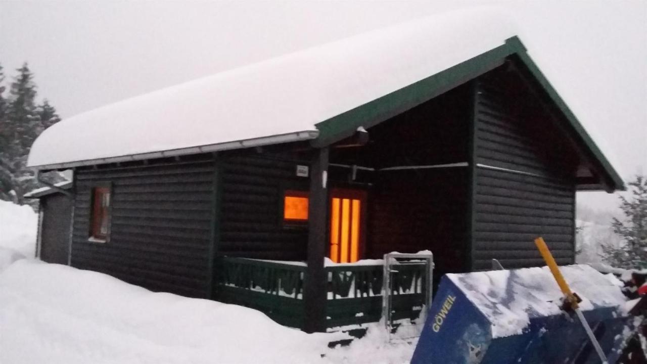 Vila Ferienhuette Sonnreith Spital Am Pyhrn Exteriér fotografie